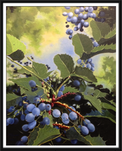 Oregon Grapes
oil on canvas
18 x 24 SOLD 🔴